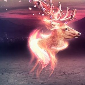 Meet your Posher, Abril